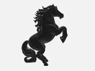 Western Black Rearing Horse
