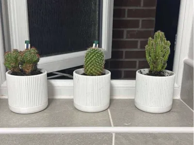 Cactus pot with drain holes 