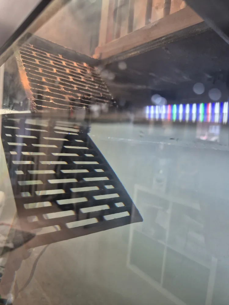Turtle Ramp [PETG] - Free 3D Print Model - MakerWorld