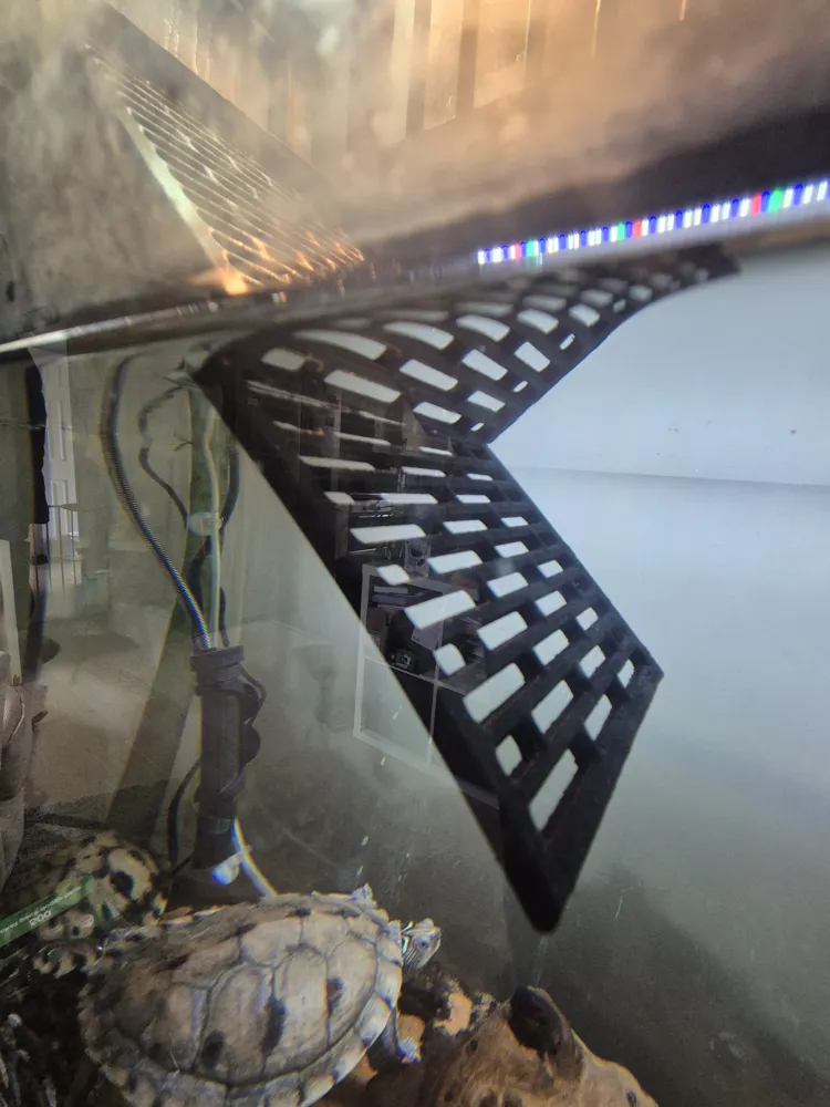 Turtle Ramp [PETG] - Free 3D Print Model - MakerWorld