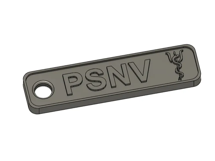 Abzeichen / Anhänger PSNV