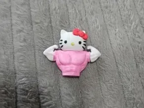 https://makerworld.bblmw.com/makerworld/model/USb5f9c66d46216/design/2025-12-17_3be0676503fb1.jpeg