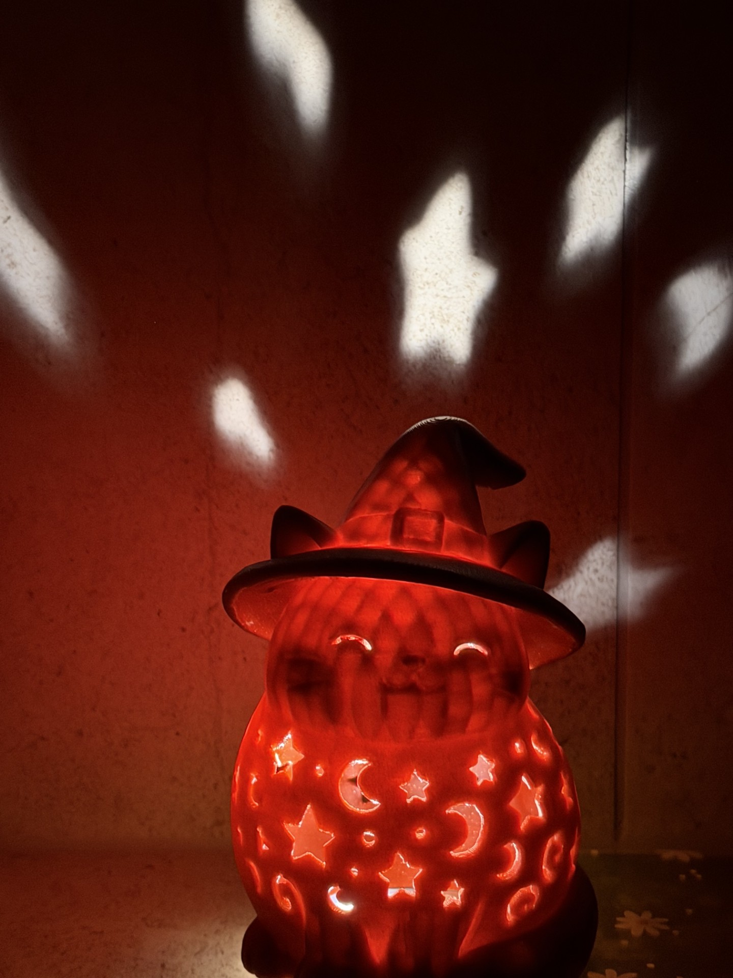 Halloween Witch Cat Lantern - 1