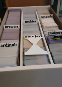 All Teams