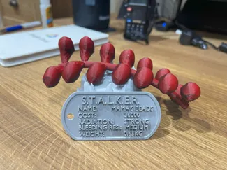 S.T.A.L.K.E.R. 2 artifact - Mama's Beads