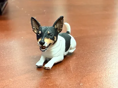 Maxwell the Rat Terrier
