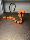 snake 1 color