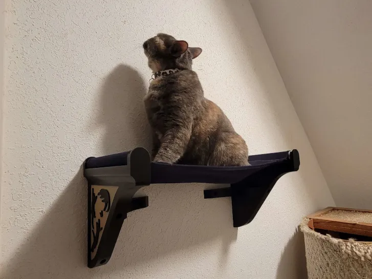 Cat Wall Hammock