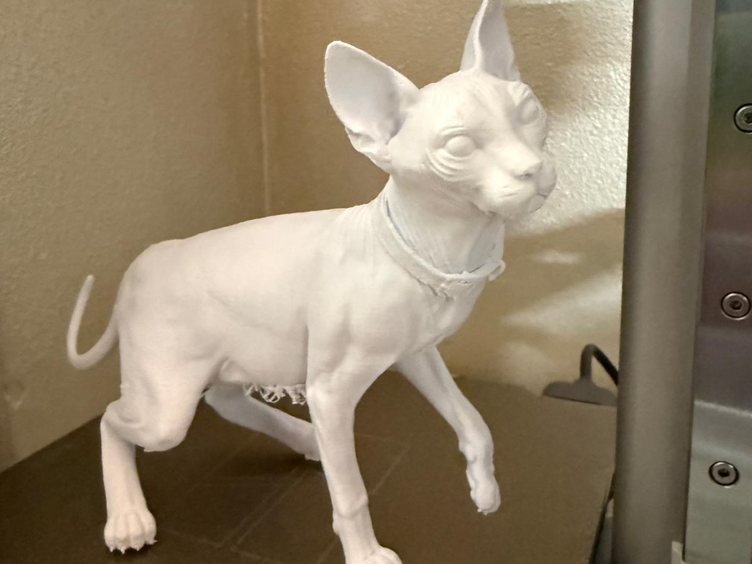 sphynx