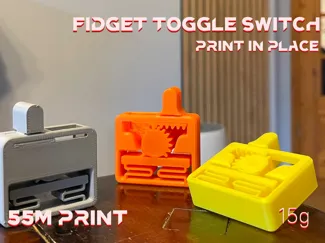 Linear Toggle Fidget Switch