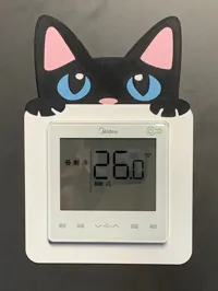 猫咪