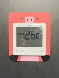 猪猪