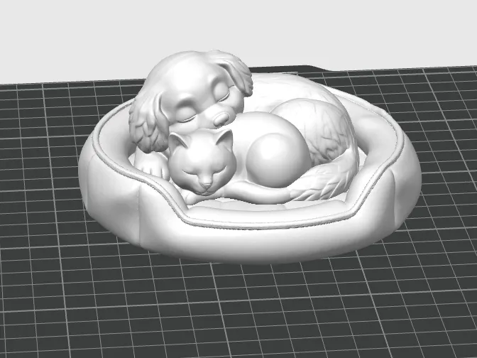 Sleeping Cat and Dog