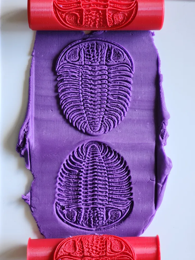 Texture Roller V400 | Trilobite - Free 3D Print Model - MakerWorld