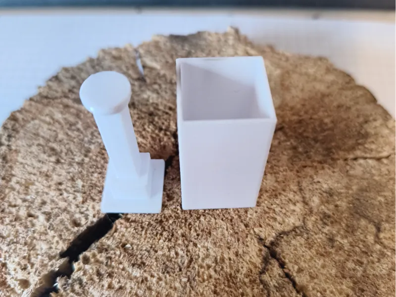 starter pot growing seeds