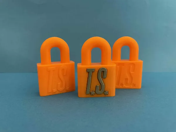 https://makerworld.bblmw.com/makerworld/model/USb627f910e765ae/design/2025-08-16_57adf76494f.jpeg