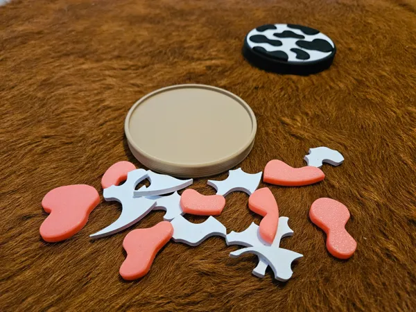 https://makerworld.bblmw.com/makerworld/model/USb62d9a8b6d7bd5/design/2024-02-24_6d71552d16b0c.jpg