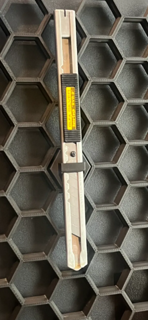 https://makerworld.bblmw.com/makerworld/model/USb62e4ea15b2768/design/2024-07-21_69a0013385f78.jpg