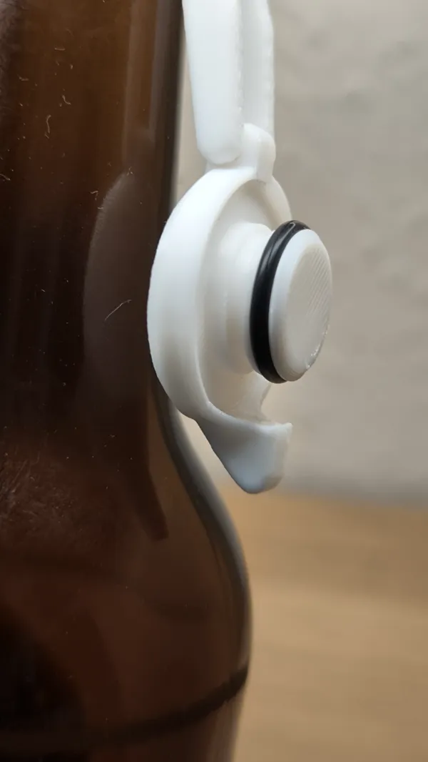 https://makerworld.bblmw.com/makerworld/model/USb6325aa5353b38/design/2024-05-06_e5ef14f8dc5b3.jpg