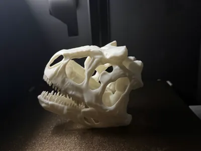 Carnotaurus Skull