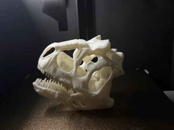 https://makerworld.bblmw.com/makerworld/model/USb636957d029887/design/079fa078a1430365.jpeg