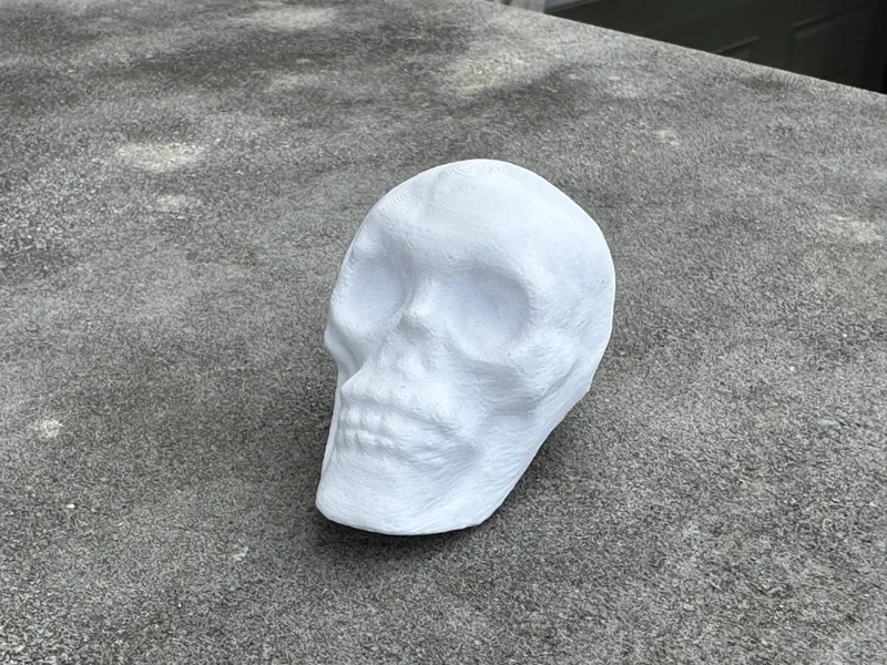 HUMAN SKULL FOR DECORATION