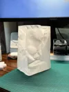 [Paper Bag] 0.6 nozzle