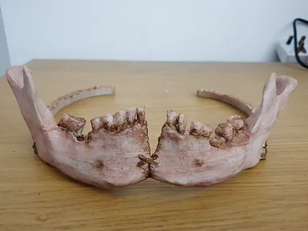 https://makerworld.bblmw.com/makerworld/model/USb639d6ff872be0/design/2025-05-14_4819809bacebb.jpg