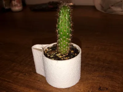 Self Watering Planter/Seed Starter