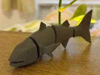 Flexi Version