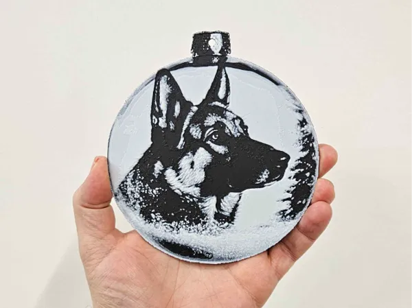 https://makerworld.bblmw.com/makerworld/model/USb63fae207eb821/design/2024-12-02_24f53c08c265c.jpg
