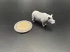 Only the Sumatra Nashorn