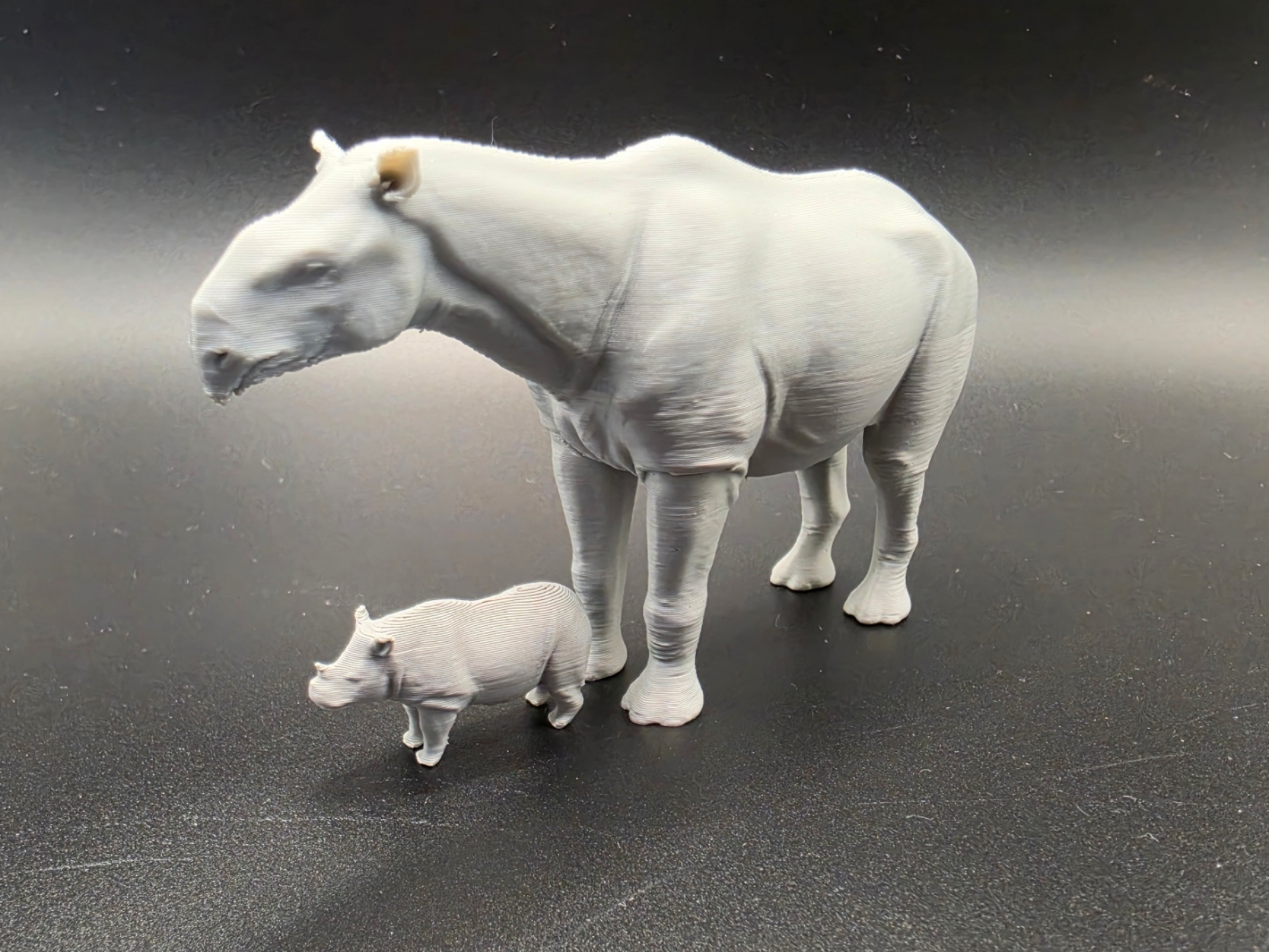 Paraceratherium vs. Nashorn Größenvergleich