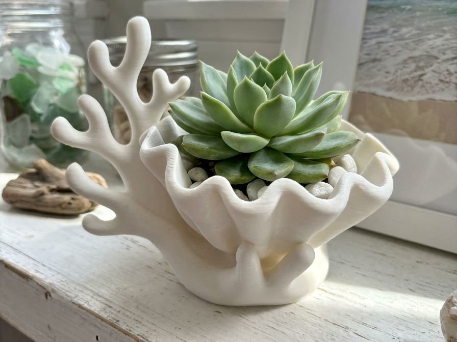 Coastal Coral & Clam Shell Succulent Planter