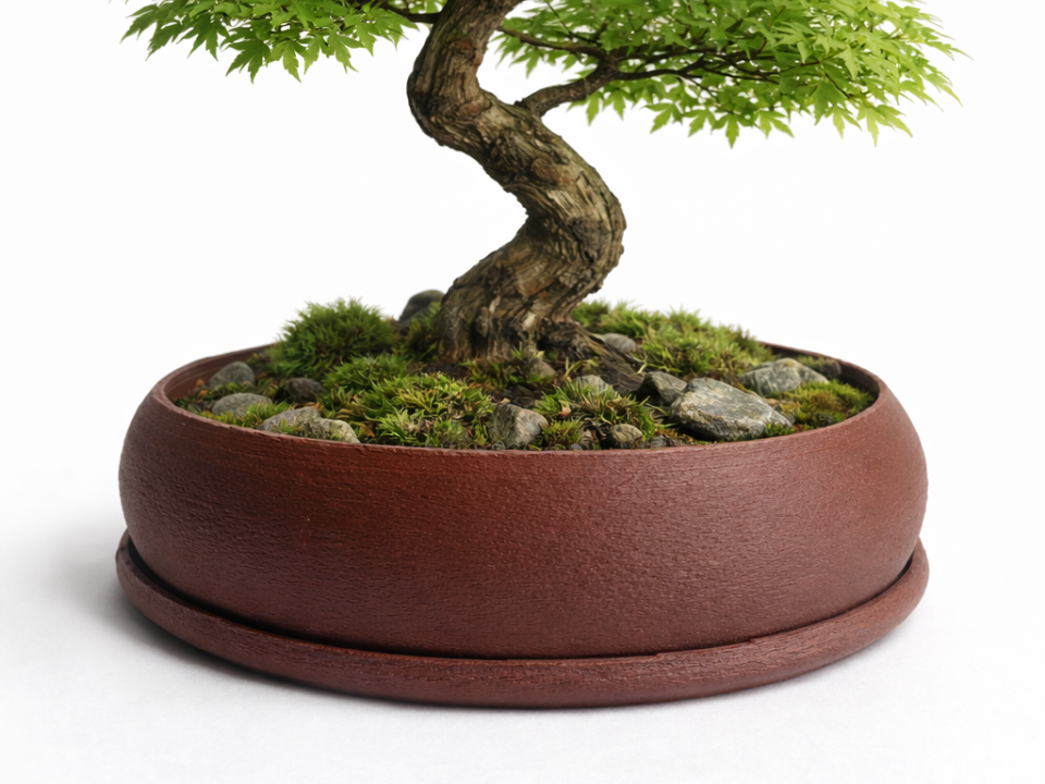 Schlichter ovaler Bonsai Topf mit Untersetzer