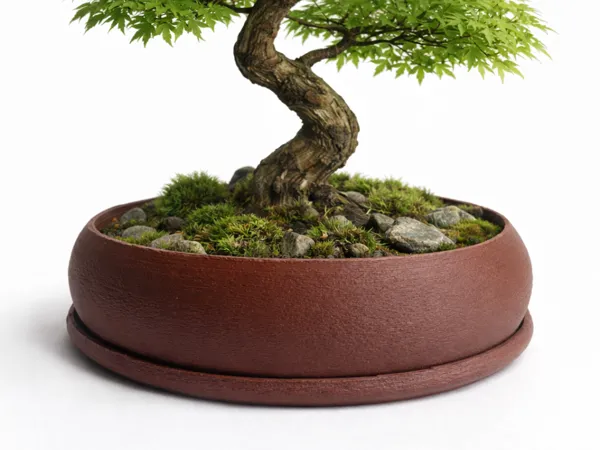 https://makerworld.bblmw.com/makerworld/model/USb645584724129f/design/15281df05457efb6.png