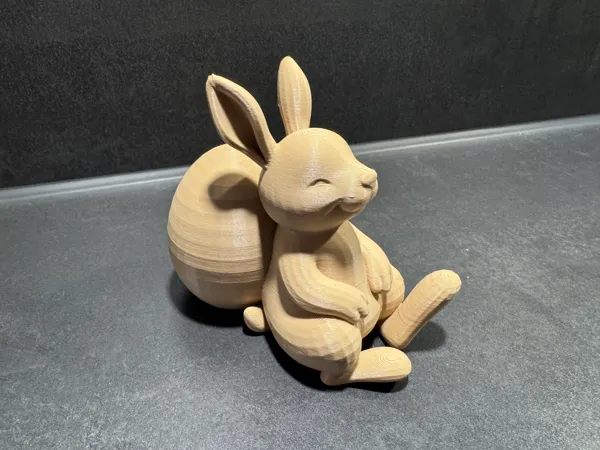 https://makerworld.bblmw.com/makerworld/model/USb64b7583cb1381/design/12398a69425bbf57.jpeg