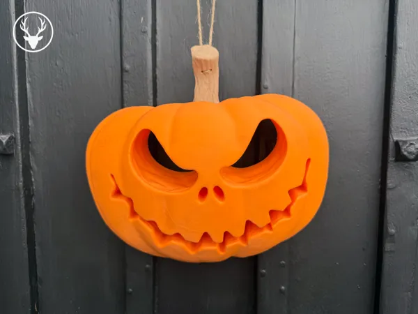 https://makerworld.bblmw.com/makerworld/model/USb650d14d46ebc7/design/2024-09-17_fb83f47424e2a.png