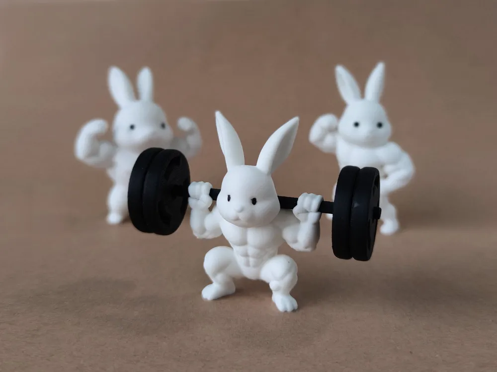 Fitness Rabbit Press by TiNiY MakerWorld: Download Free 3D Models - 3D model önizlemesi