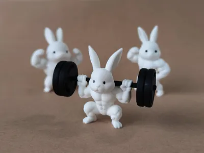 Jacked Rabbits weightlifting