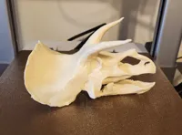 50% Scale, 0.2mm layer, 2 walls, 15% infill 