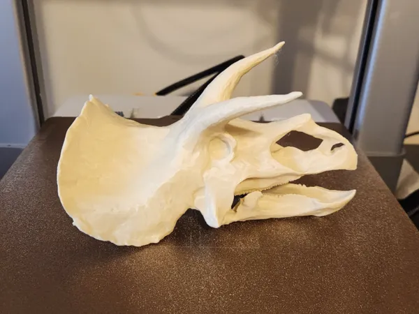 https://makerworld.bblmw.com/makerworld/model/USb65ef8d7c1ee99/design/2025-02-16_1e4cf7722cbbd8.jpg