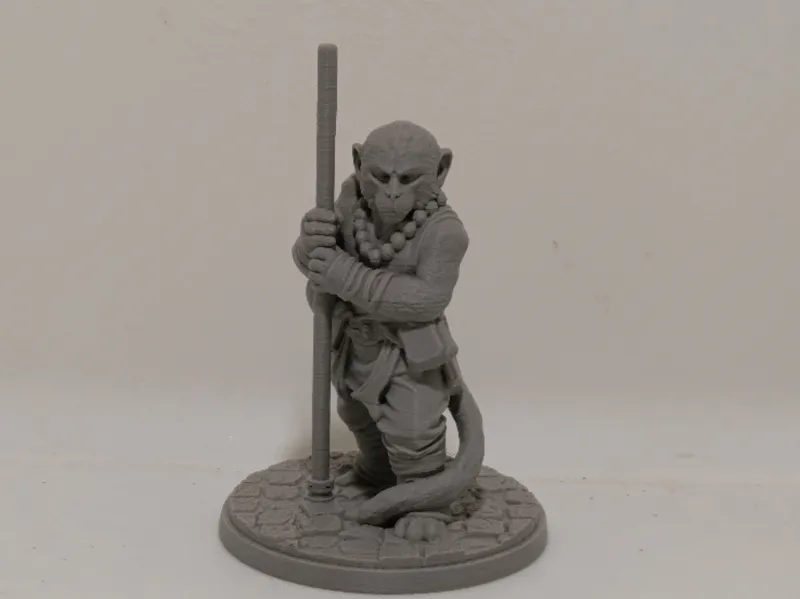 supportless shaolin monkey (dnd monk)