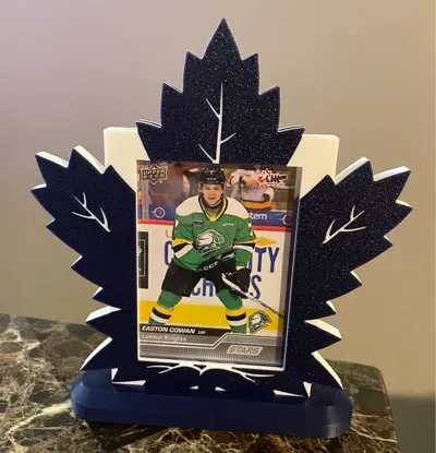 NHL Toploader Display Stands - ALL TEAMS