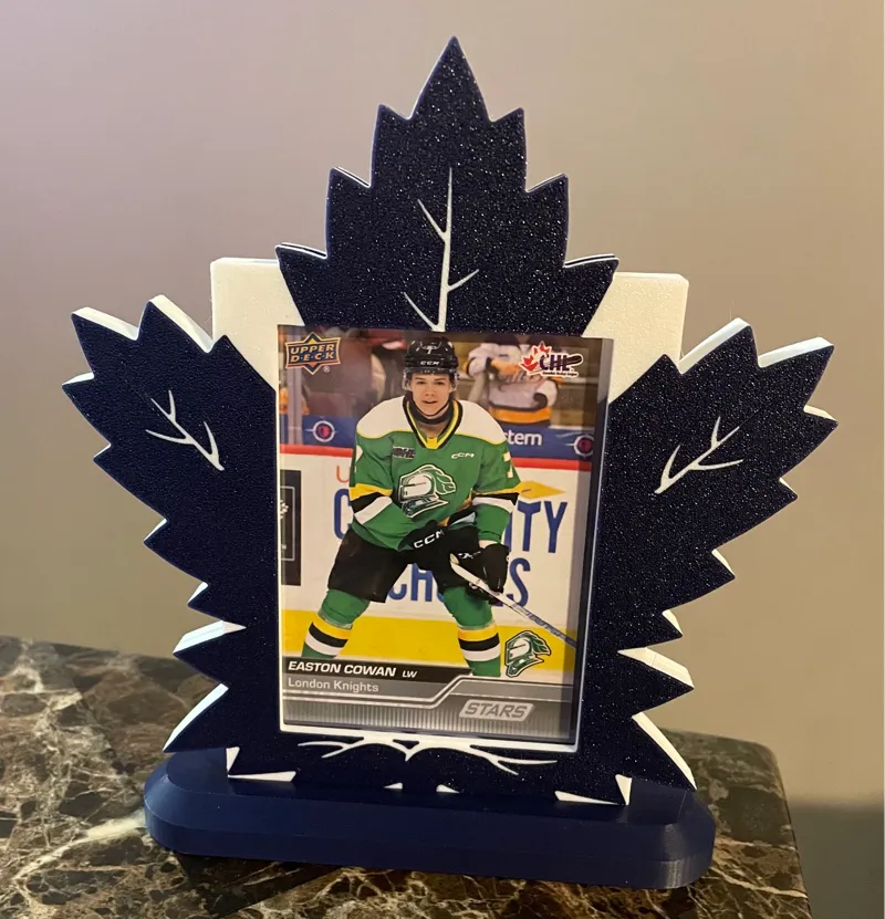 NHL Toploader Display Stands - ALL TEAMS