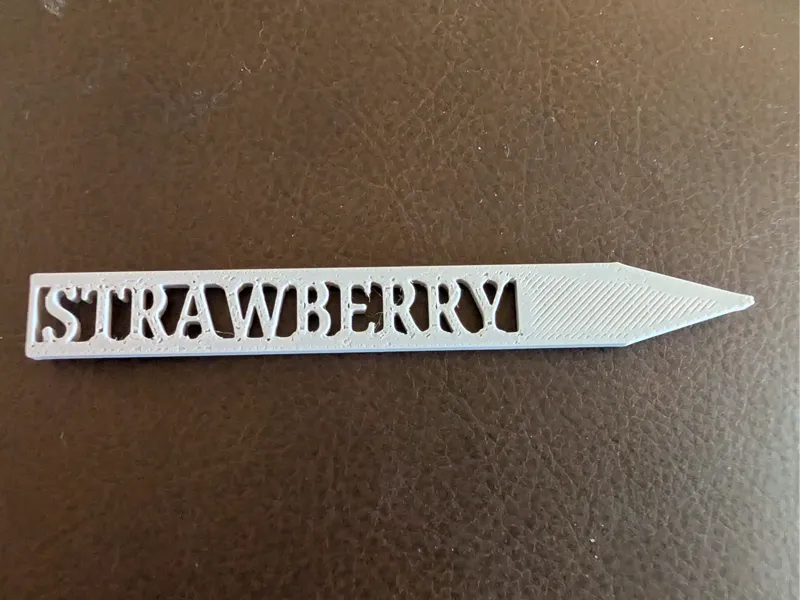 Strawberry Plant Marker