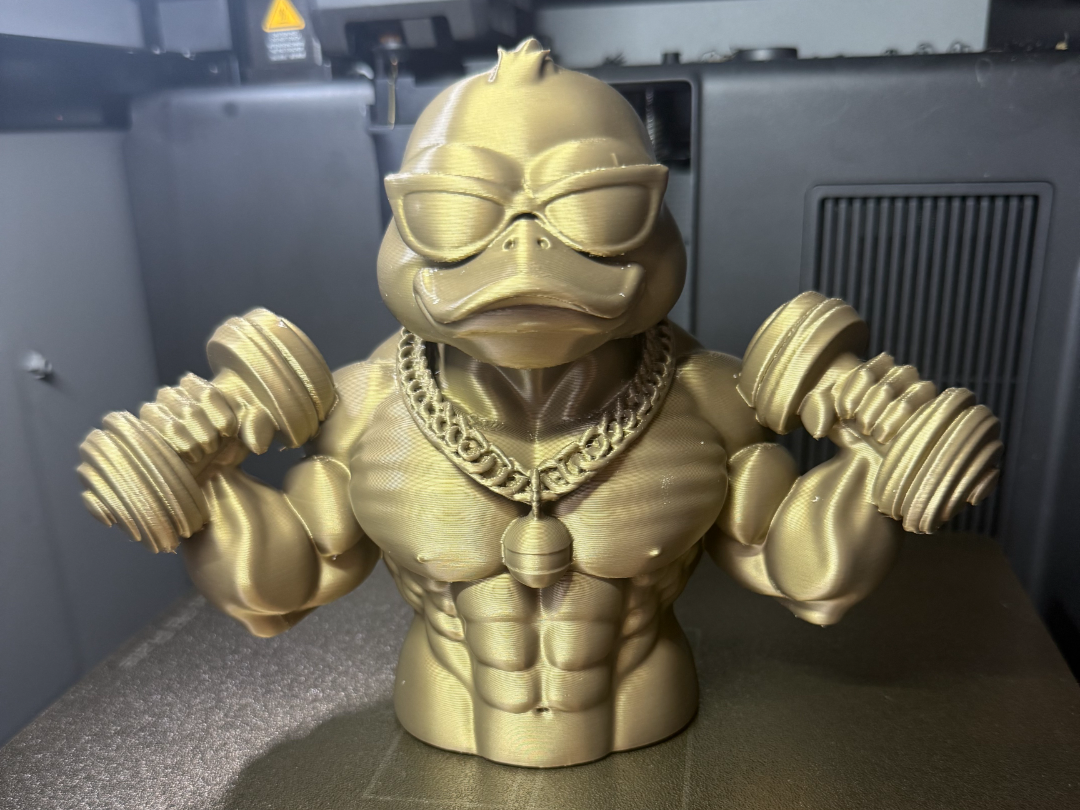 Buff Gymbro Duck