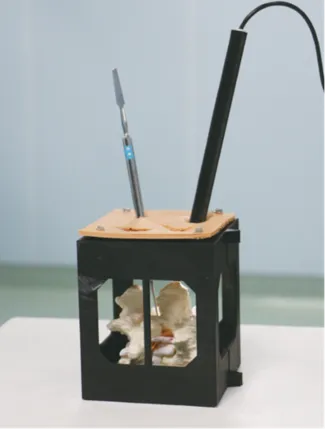 Vertebra for endoscopic spine surgery training