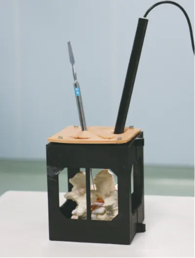 Vertebra for endoscopic spine surgery training