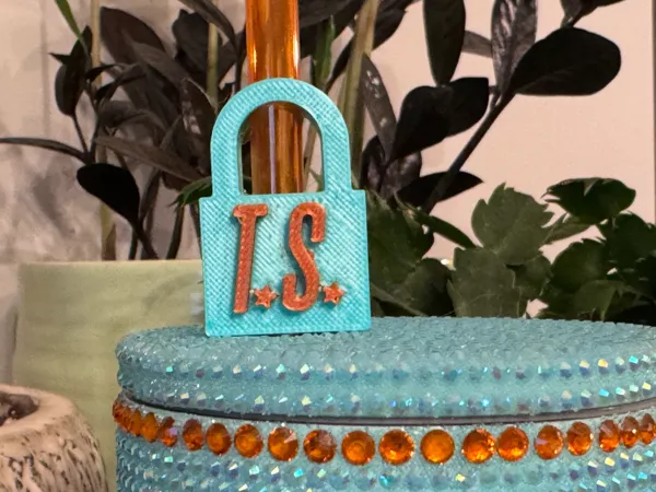 https://makerworld.bblmw.com/makerworld/model/USb66c0427c8da9d/design/2025-11-19_43b55658d0fc7.png